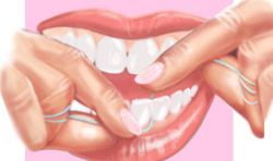 Pour parfaire l’hygiène buccale, brosser doucement la langue et les gencives afin de bien les nettoyer. Un fil dentaire peut également être passé régulièrement entre les dents, en prenant soin de ne pas abîmer la gencive.